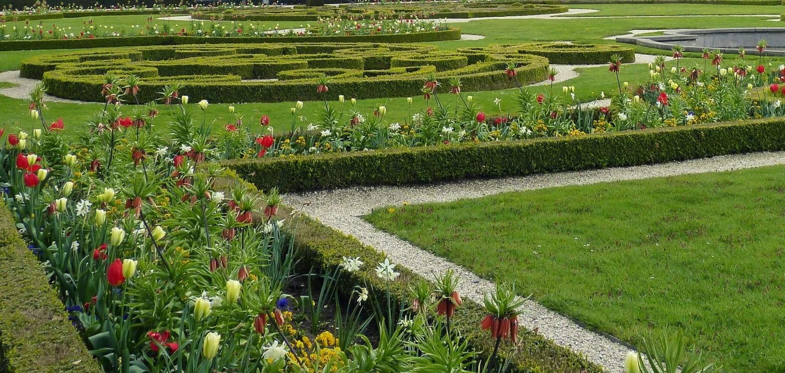 Bordadura de buxo num jardim ao estilo francês