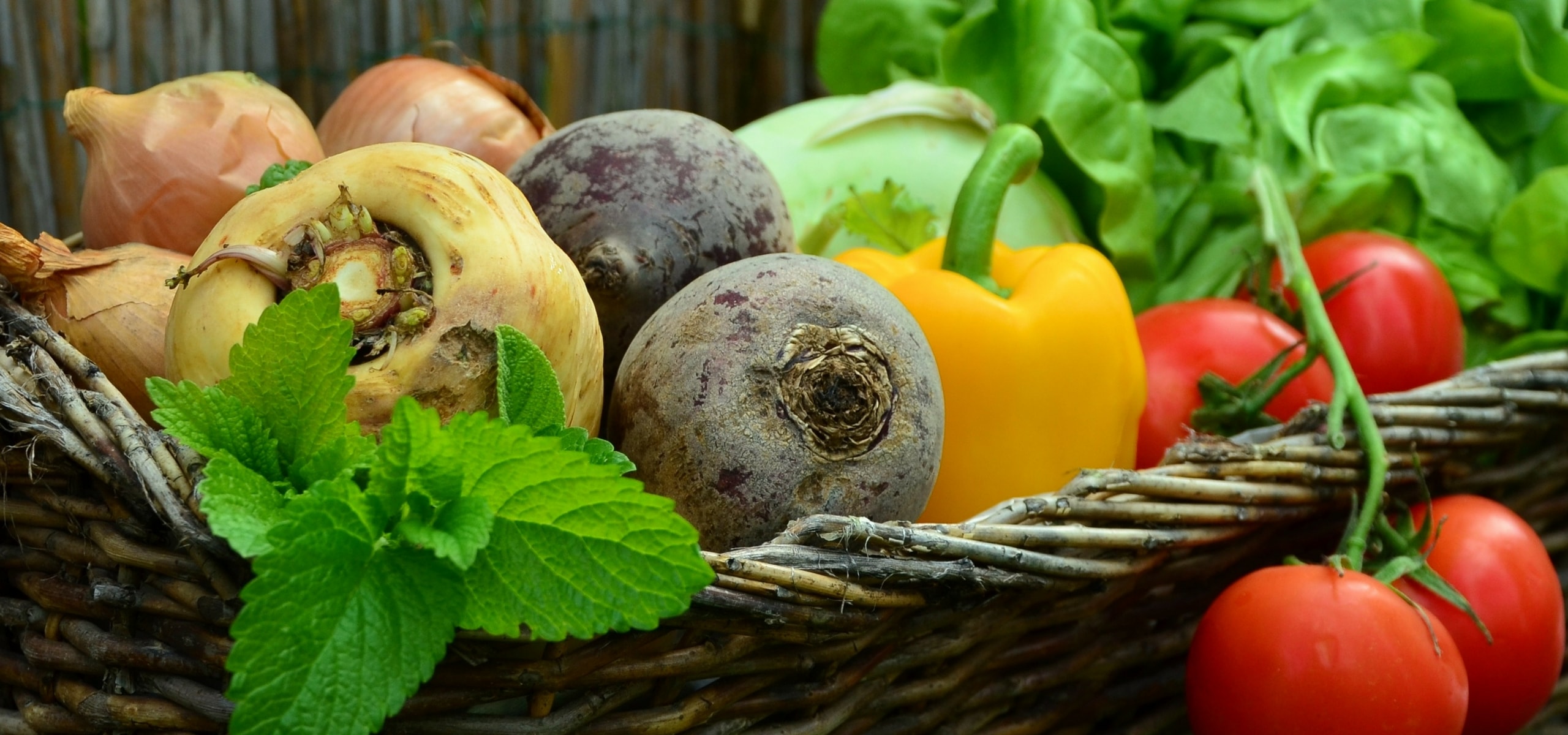 A horta em quadrados: um método fácil e produtivo para cultivar os teus legumes
