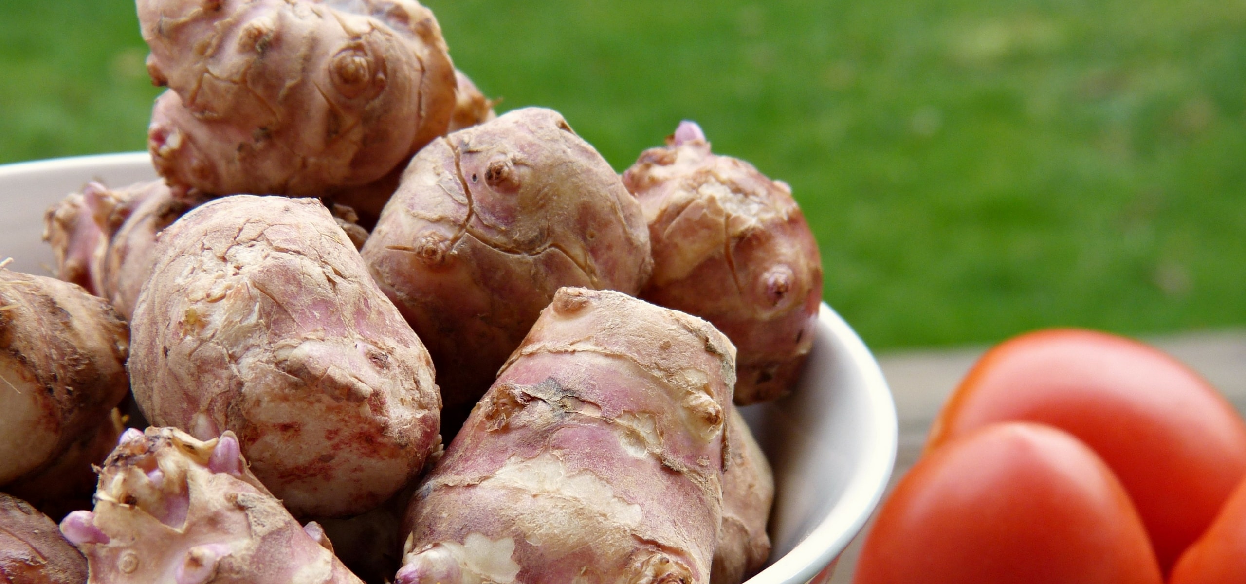 Guia completo para plantar e cultivar com sucesso os girassóis-batateiros no jardim