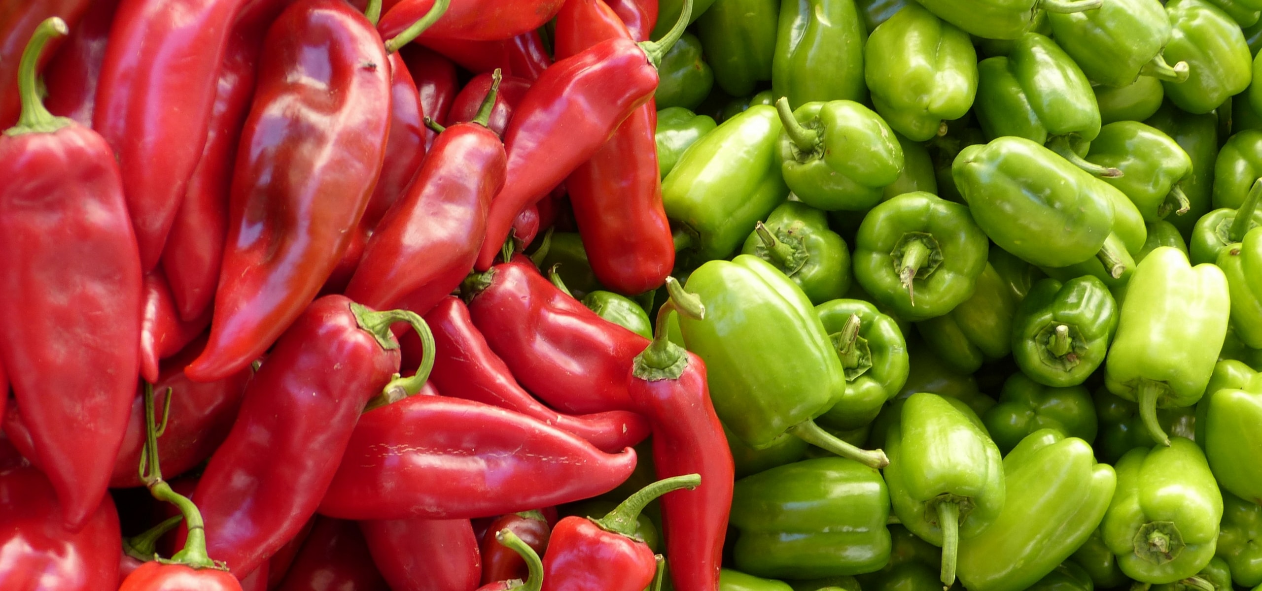 Cultivar malaguetas e pimentos com sucesso