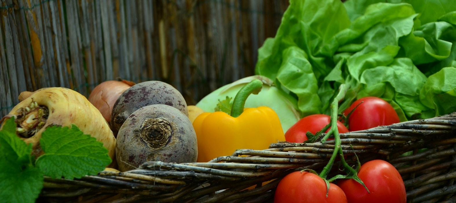 Conservar os legumes da horta