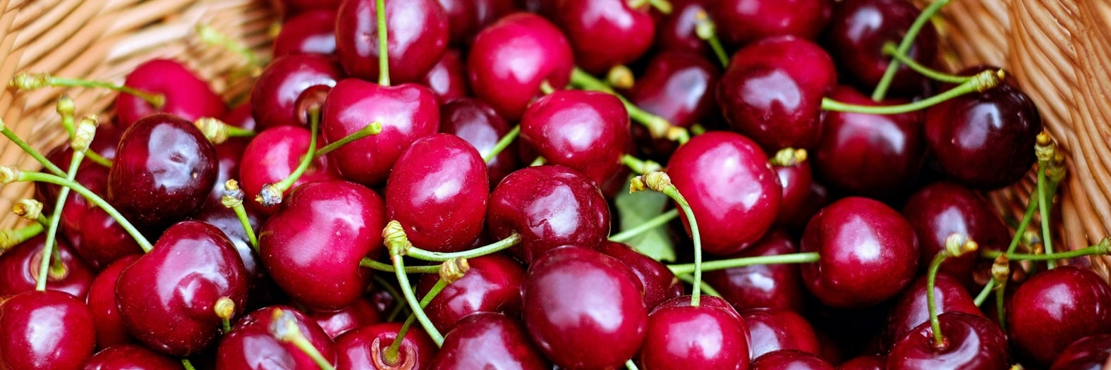 Conservar os frutos do jardim