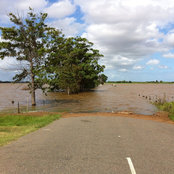 O teu jardim foi inundado? O que fazer quando a água baixar?
