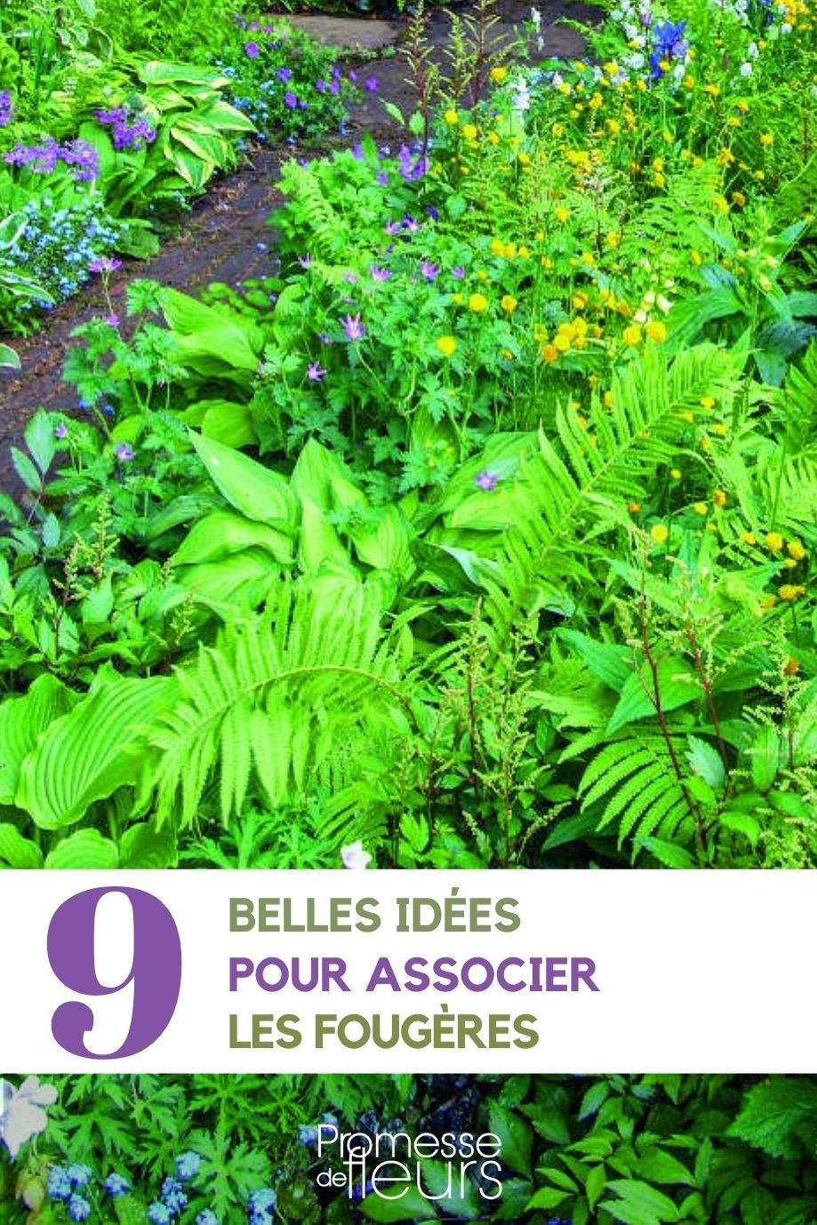 como associar bem as fetos no jardim