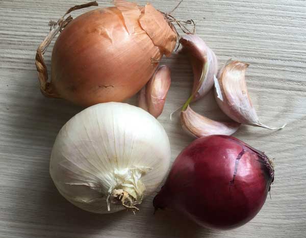 Alho, cebola, echalota... É em fevereiro na horta!