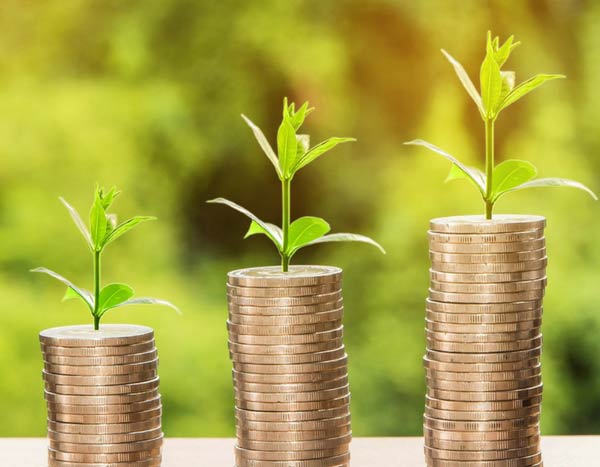 10 dicas para jardinar sem gastar muito