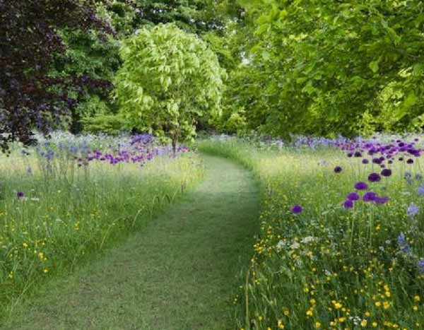 Jardim sem manutenção: conselhos, dicas e plantas adaptadas