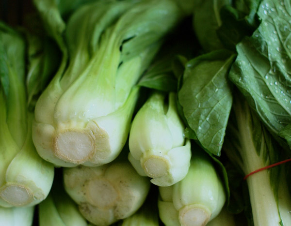 7 legumes asiáticos para cultivar na horta
