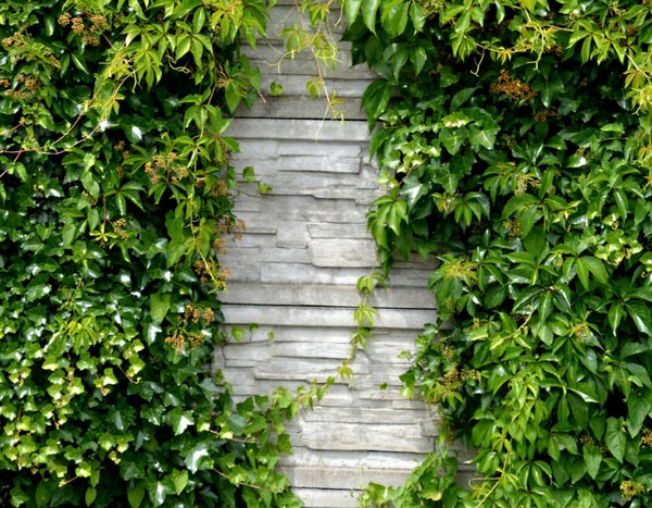 Um muro no jardim: as nossas ideias para o decorar