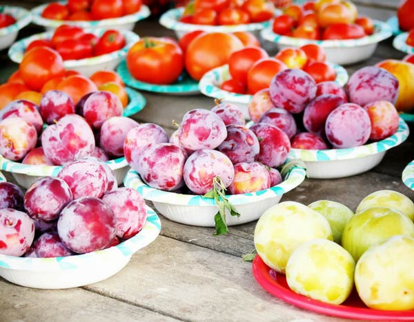 O que fazer com as sobras da colheita da tua horta?