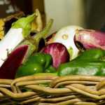 Semear beringelas, pimentos e pimentas: quando e como?
