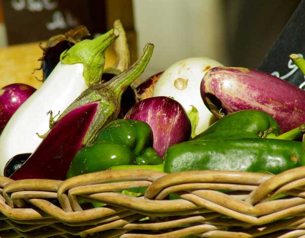 Semear beringelas, pimentos e pimentas: quando e como?