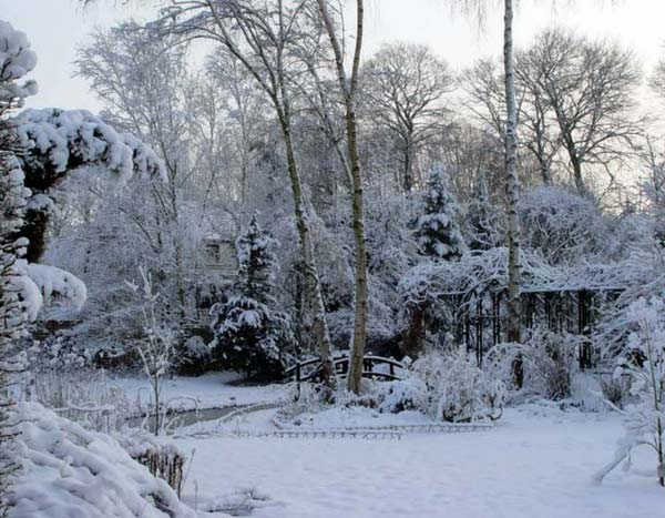 A neve no jardim, grandes benefícios ou verdadeiro pesadelo?
