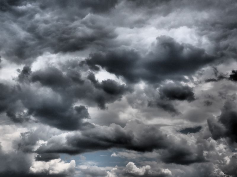 Tempestade e jardim: o que fazer antes e depois?