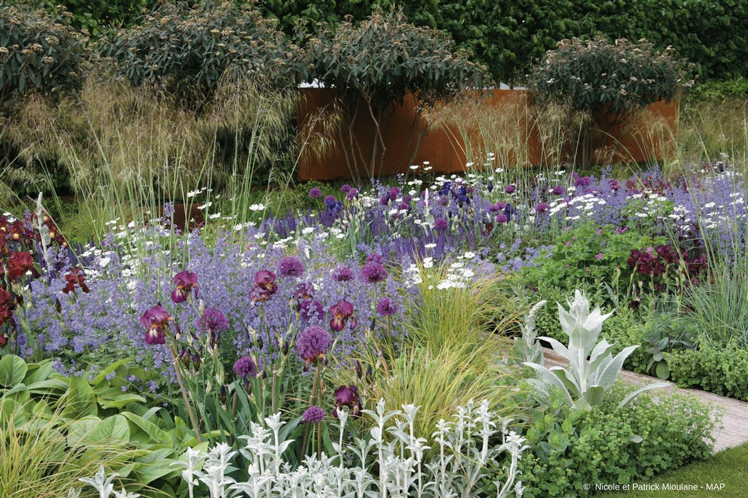 Como criar um belo canteiro de plantas perenes?