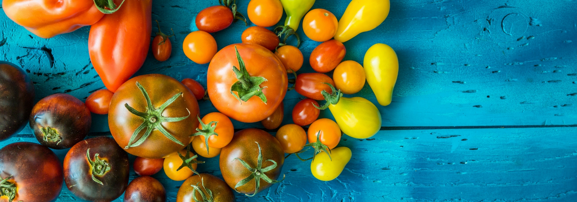 Mudas de legumes enxertadas