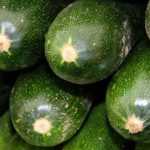 Curgete: como semear, plantar e cultivar na horta