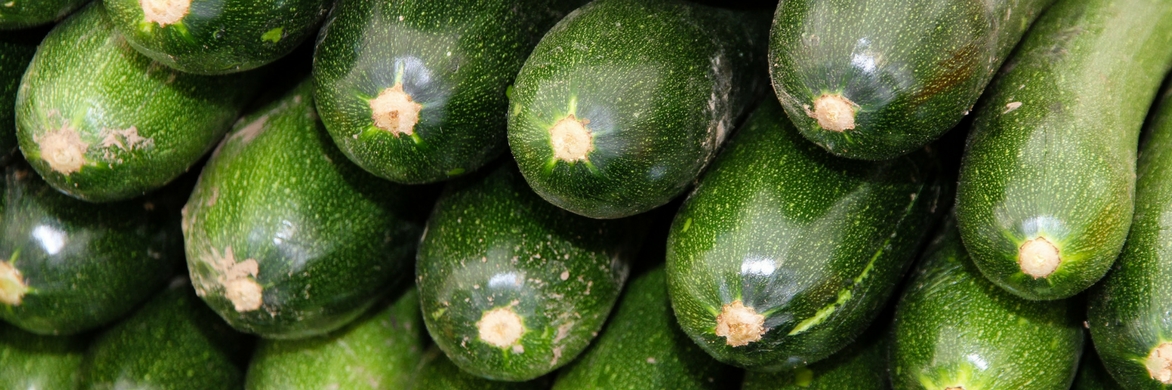 Curgete: como semear, plantar e cultivar na horta