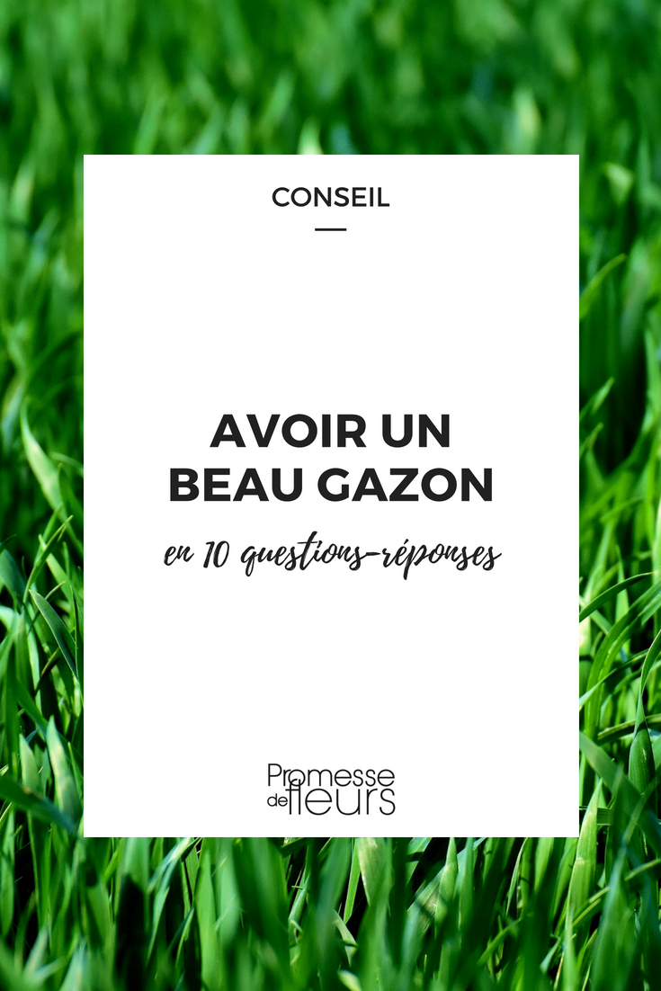 Como ter uma relva bonita sem ervas daninhas? Quando semear a sua relva? Como tratar, cortar e renovar sem ter de recomeçar do zero... Os nossos especialistas de jardim respondem a todas as suas questões sobre a relva e o relvado!