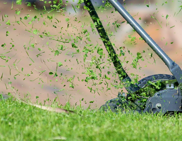 Tudo sobre o mulching, uma outra forma de cortar a relva