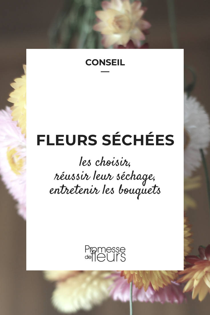 flores secas: como escolhê-las e conseguir uma boa secagem