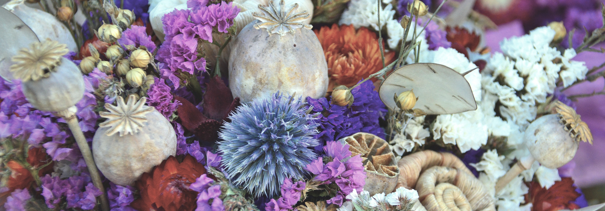 Flores secas: quais escolher, como secá-las e conservar os seus ramos de flores