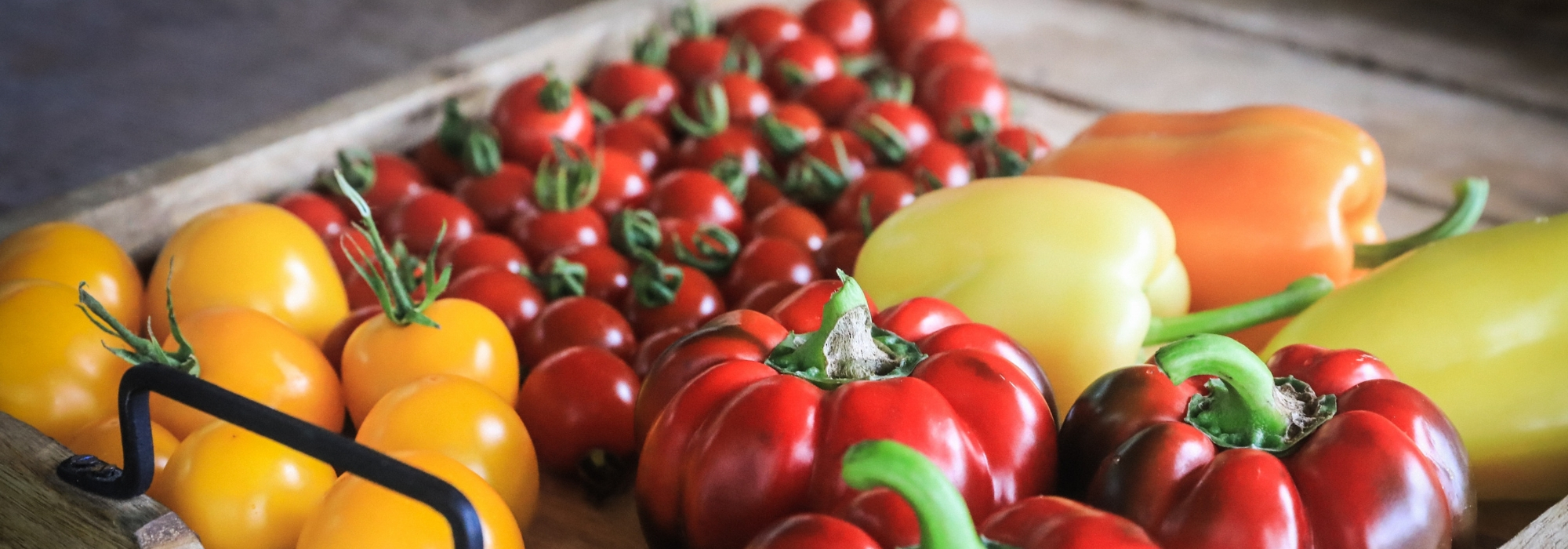 Como fazer amadurecer os últimos frutos e legumes da horta