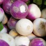 Nabo: sementeira, cultivo, cuidados