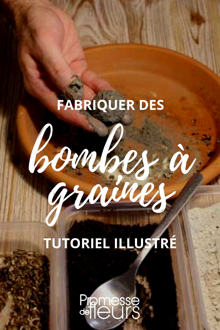 Bombas de sementes ou seed bomb: tuto para as fazer