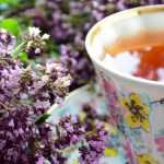 Tisana e infusão: que plantas cultivar no jardim?