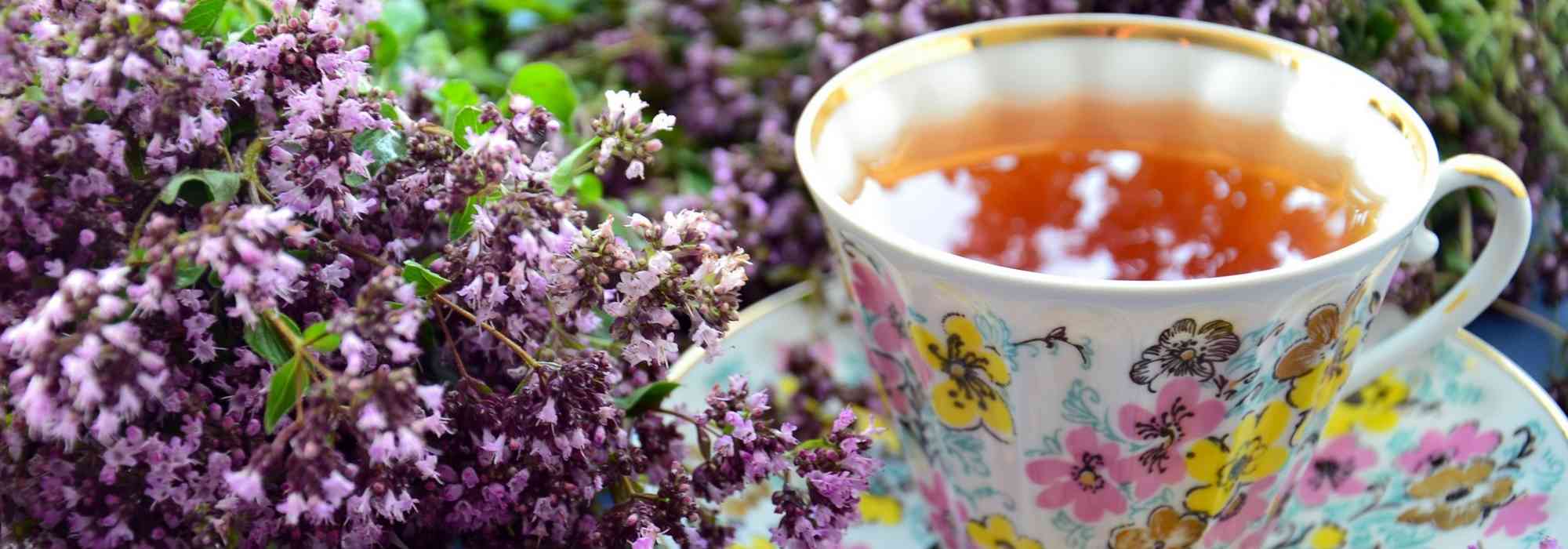Tisana e infusão: que plantas cultivar no jardim?