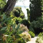 Jardim mediterrânico: 10 plantas emblemáticas para o compor