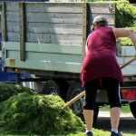 Resíduos verdes: soluções de reciclagem e valorização no jardim