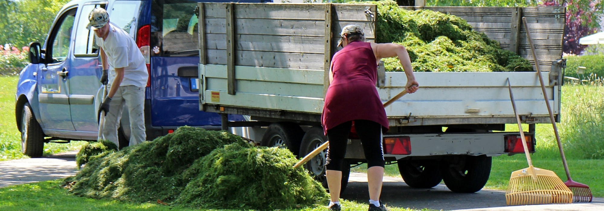 Resíduos verdes: soluções de reciclagem e valorização no jardim