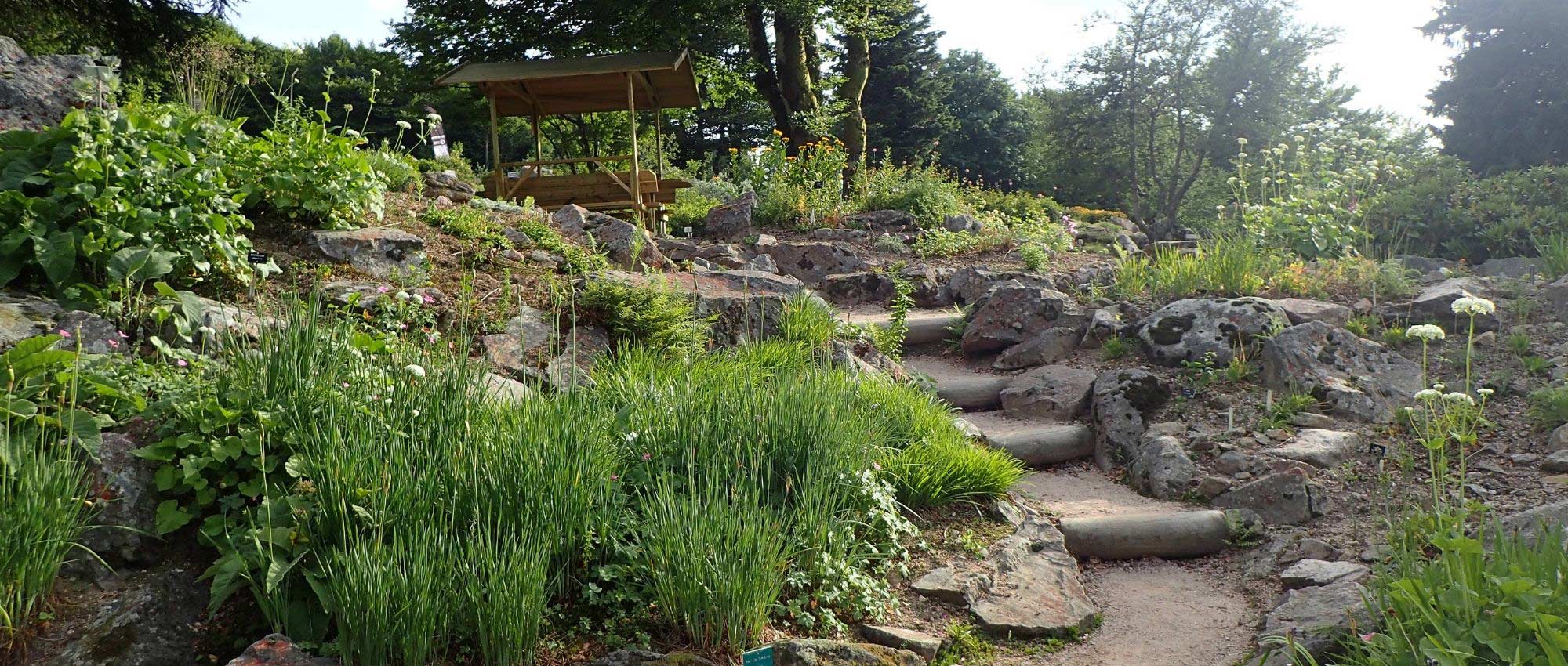 Criar uma rockery: os nossos conselhos para a conseguir
