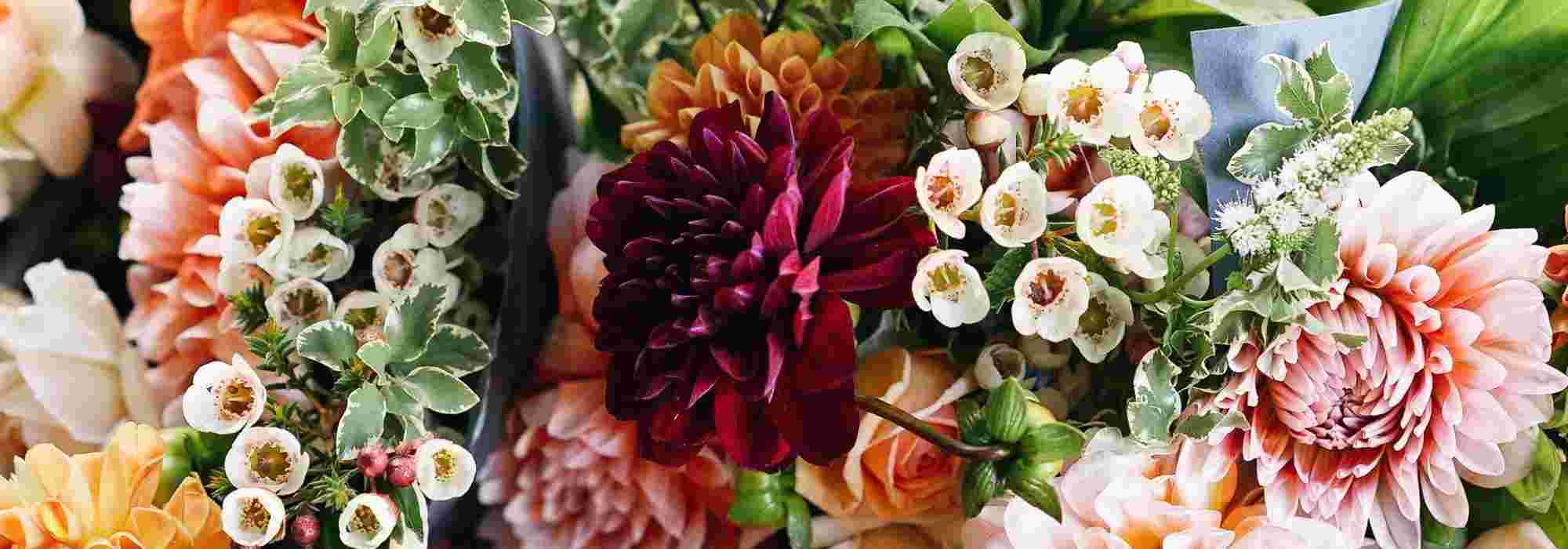 Criar um jardim de flores para cortar e fazer os seus ramos de flores