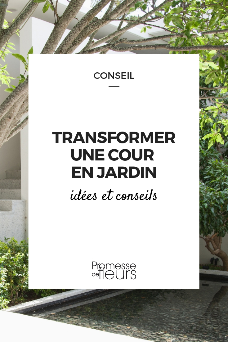 transformar um pátio em jardim