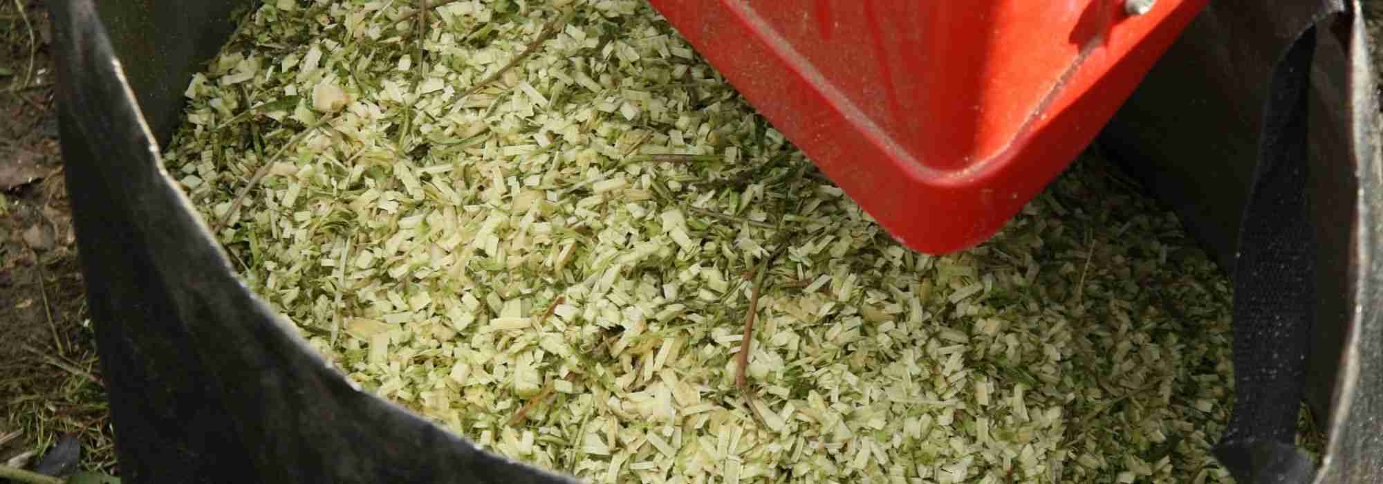 Trituradores de vegetais: utilidade, diferentes modelos, escolha