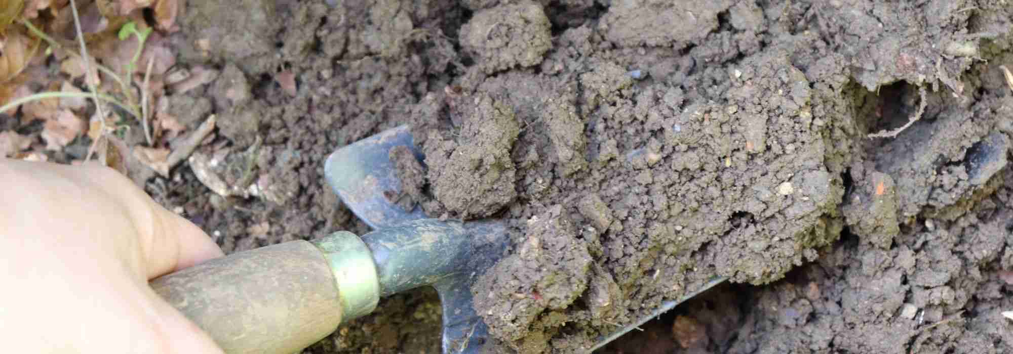 A fertilidade do solo: rico ou pobre, como saber?