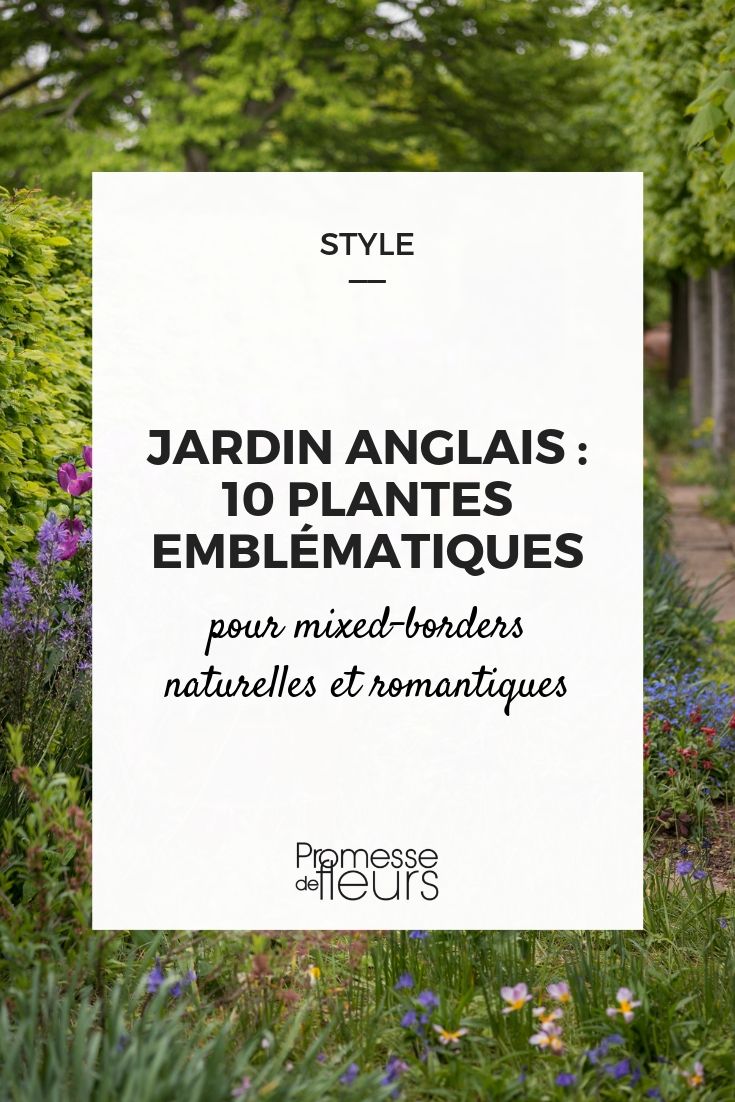plantas para jardim inglês