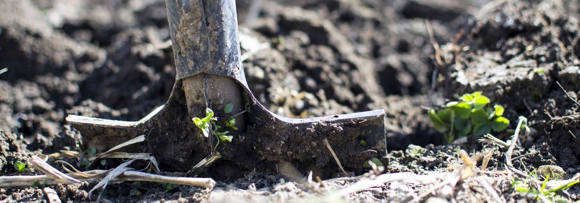 Jardinar em terra pesada e húmida