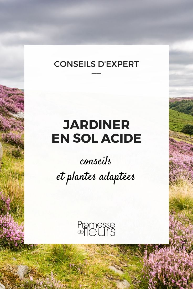 solo ácido no jardim