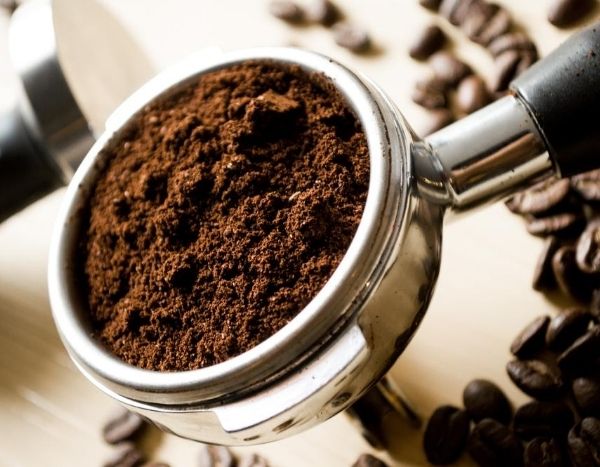 A borra de café, um tesouro para as plantas do jardim: verdade ou mito?