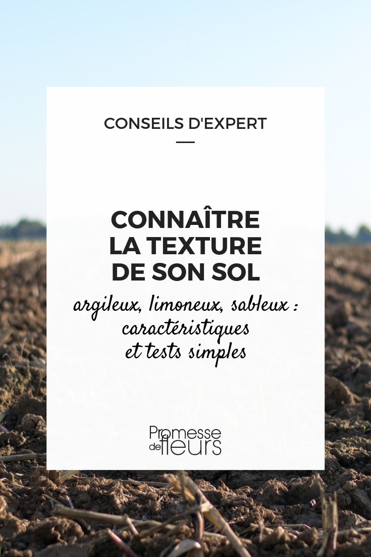 textura do solo: características e testes