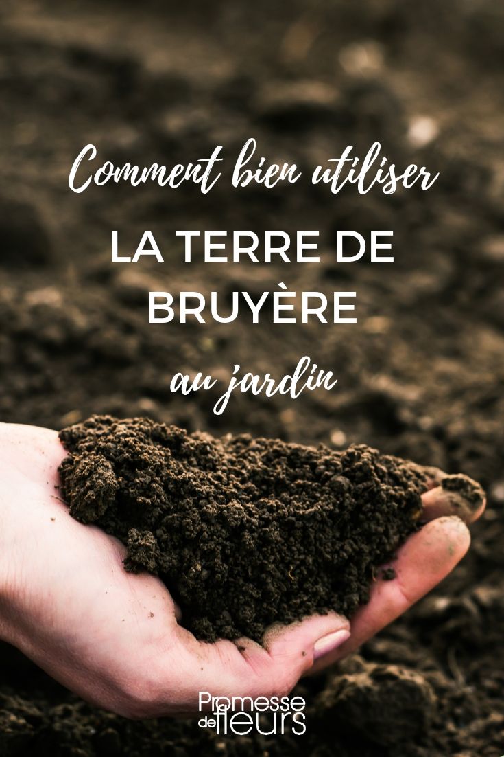 Terra de urze: como utilizá-la no jardim – conselhos
