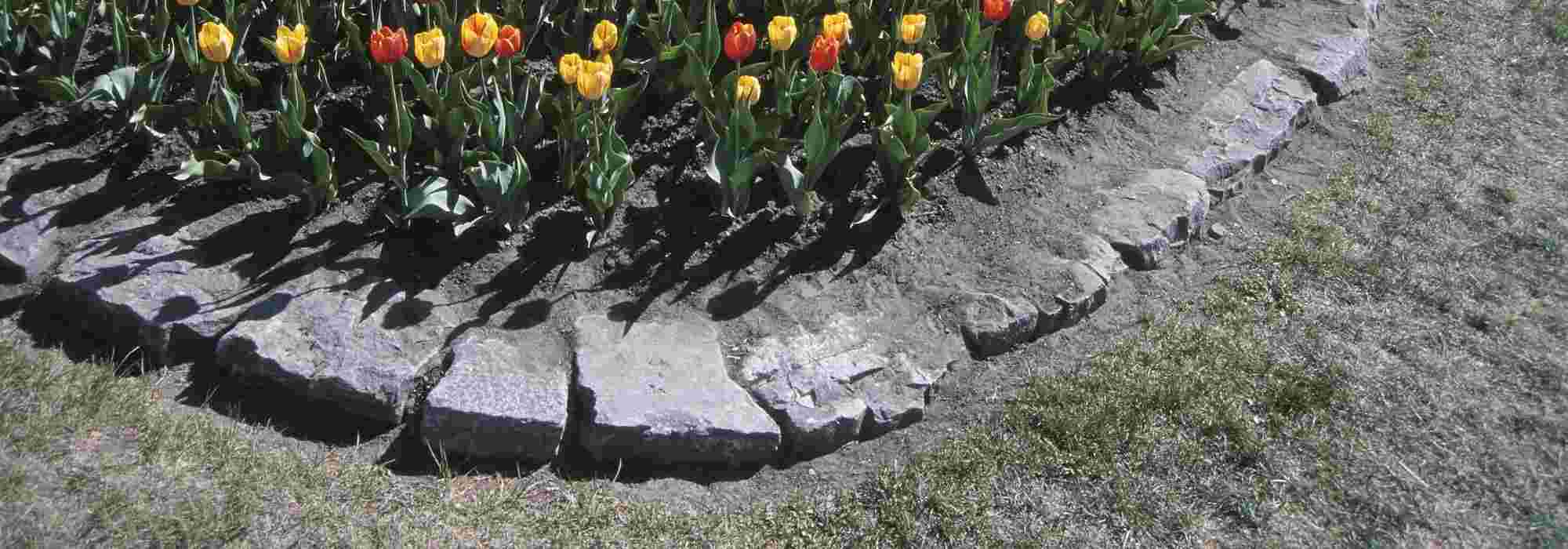 Bordaduras de jardim: soluções, vantagens, inconvenientes