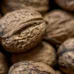 Nogueira-europeia, Juglans regia : plantar, podar e cuidar
