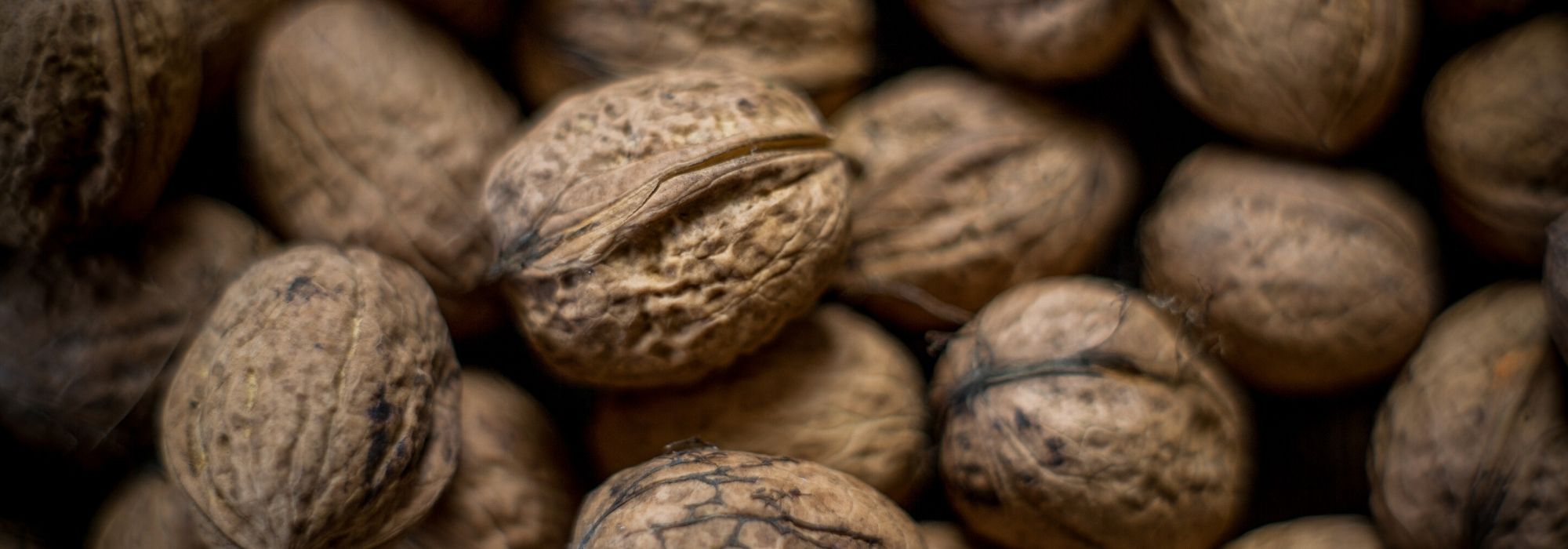 Nogueira-europeia, Juglans regia : plantar, podar e cuidar