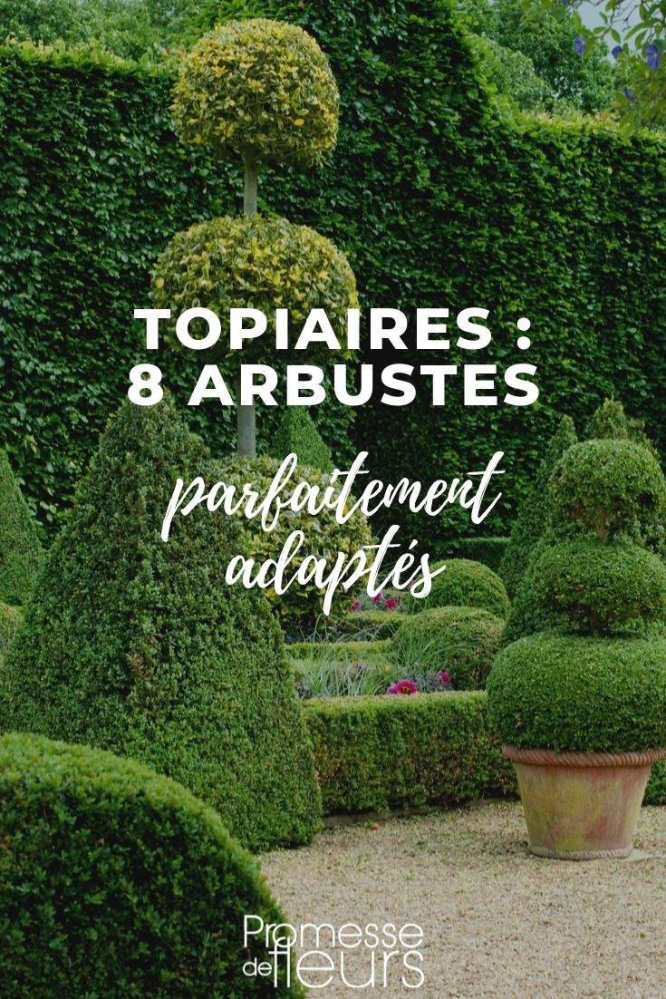 Topiária: os arbustos adaptados