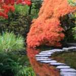 Jardim japonês: 10 plantas perenes emblemáticas